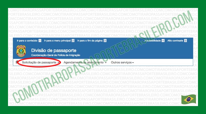 consulta andamento do passaporte